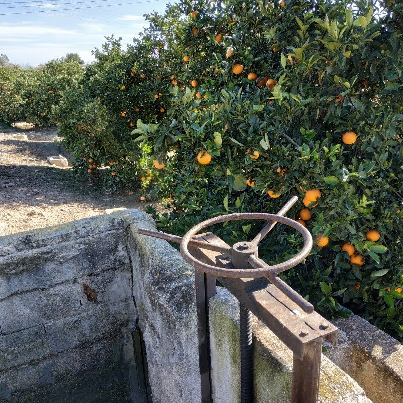 Acequias y riegos sistema Orihuela naranjos