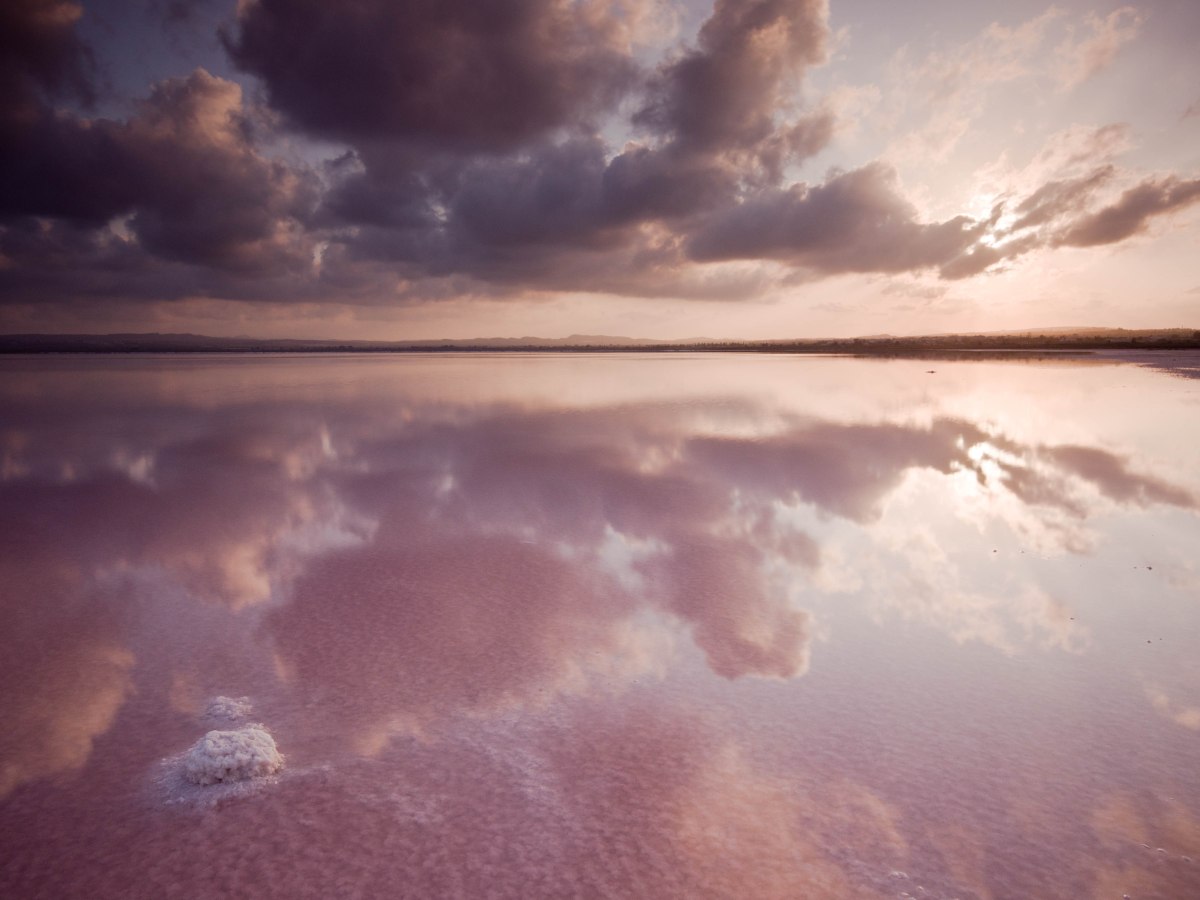 Juzgados de Torrevieja. El Derecho de puerto y el estanco de la sal